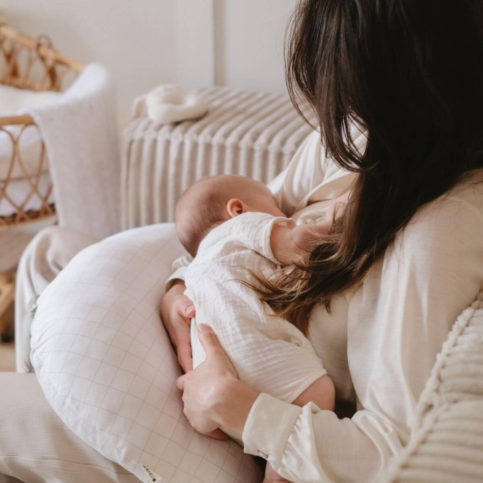 Mini Moon Grid nomad pregnancy pillow - Candide