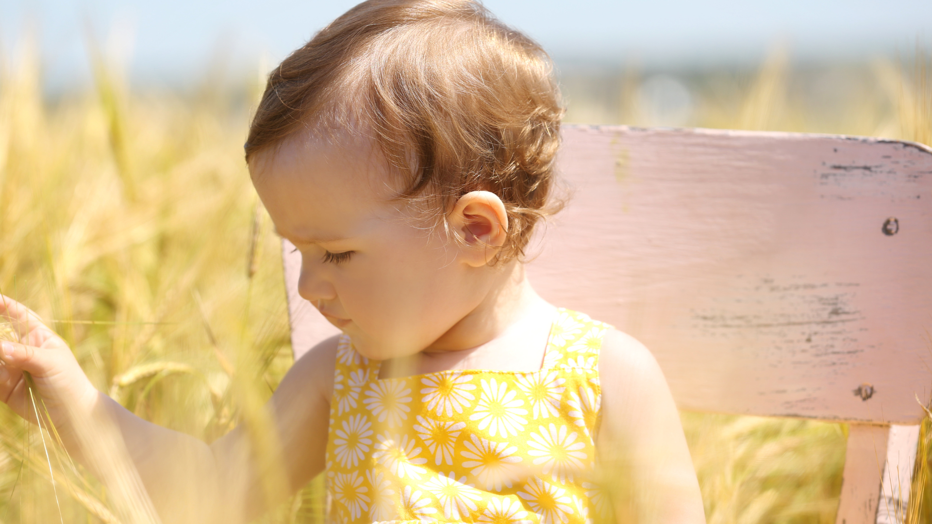 Bébé dans un champ l'été