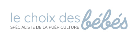 Logo lechoixdesbebes.com